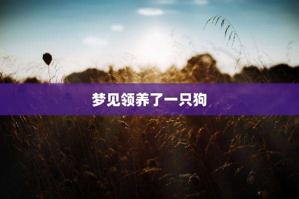 梦见领养了一只狗