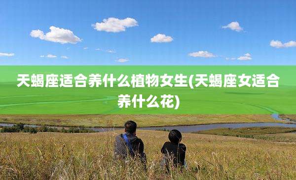 天蝎座适合养什么植物女生(天蝎座女适合养什么花)