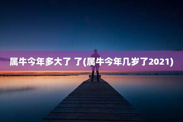 属牛今年多大了 了(属牛今年几岁了2021)