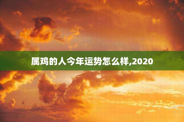属鸡的人今年运势怎么样,2020