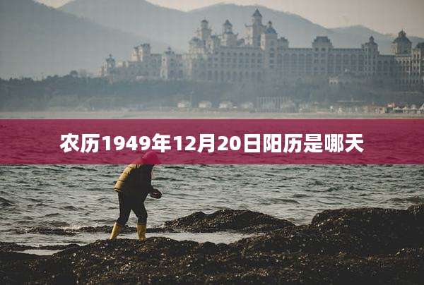 农历1949年12月20日阳历是哪天