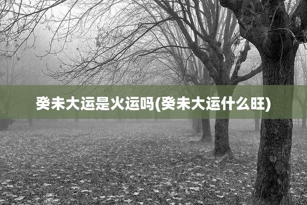 癸未大运是火运吗(癸未大运什么旺)