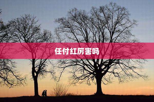 任付红厉害吗