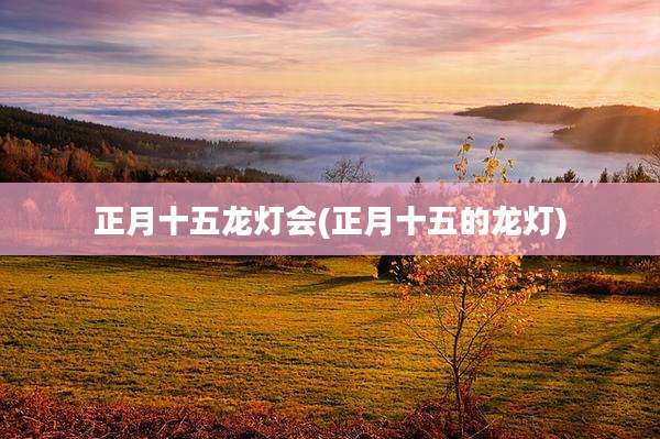 正月十五龙灯会(正月十五的龙灯)
