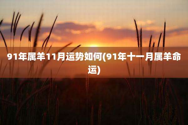 91年属羊11月运势如何(91年十一月属羊命运)
