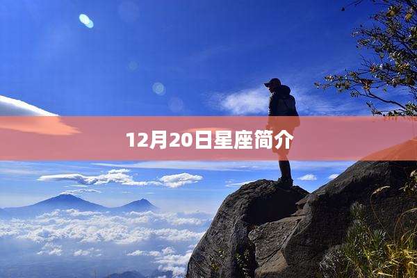 12月20日星座简介