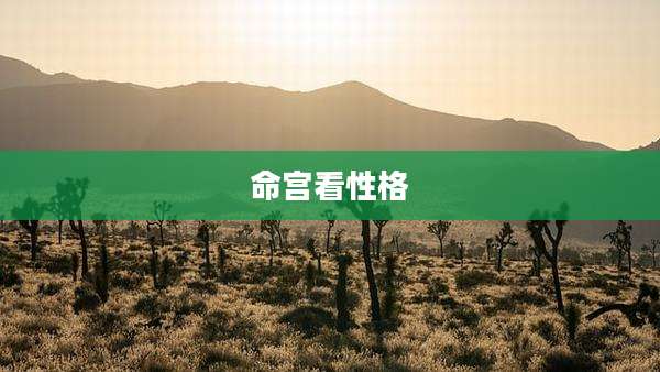 命宫看性格