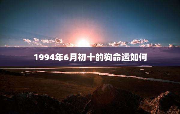 1994年6月初十的狗命运如何