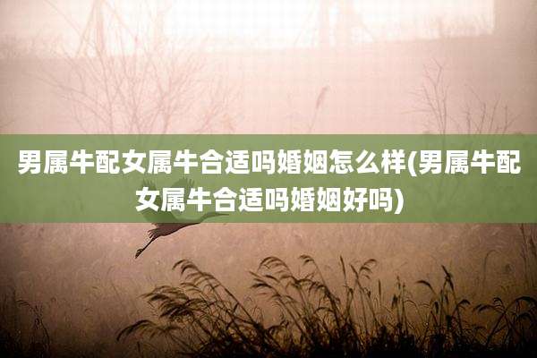 男属牛配女属牛合适吗婚姻怎么样(男属牛配女属牛合适吗婚姻好吗)