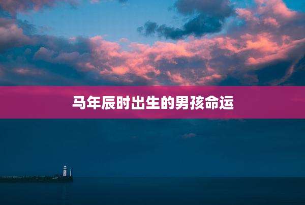 马年辰时出生的男孩命运
