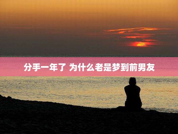 分手一年了 为什么老是梦到前男友