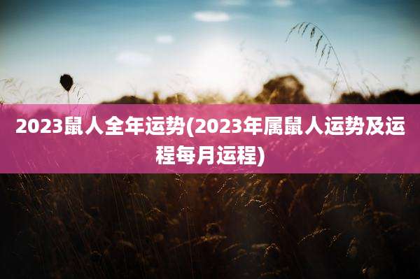 2023鼠人全年运势(2023年属鼠人运势及运程每月运程)