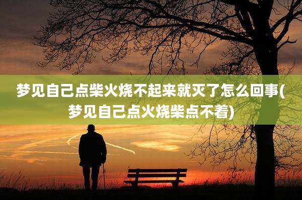 梦见自己点柴火烧不起来就灭了怎么回事(梦见自己点火烧柴点不着)