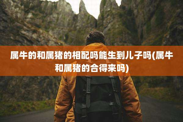 属牛的和属猪的相配吗能生到儿子吗(属牛和属猪的合得来吗)