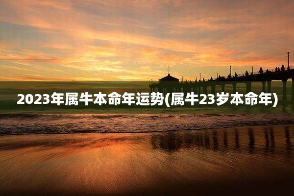 2023年属牛本命年运势(属牛23岁本命年)