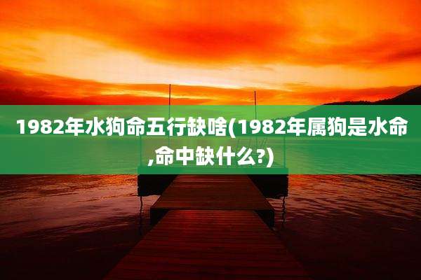 1982年水狗命五行缺啥(1982年属狗是水命,命中缺什么?)