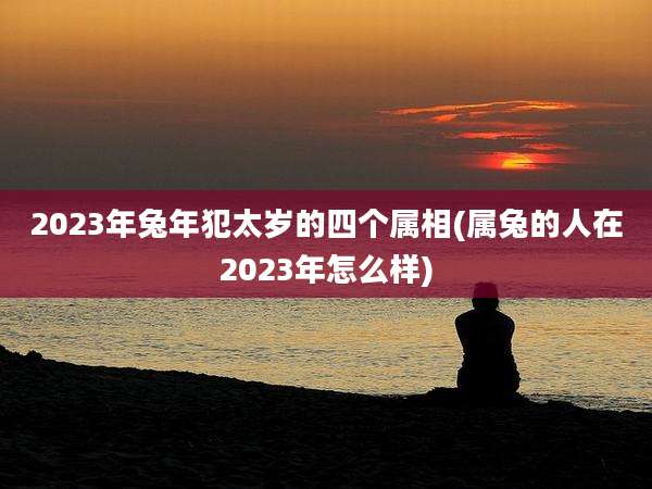 2023年兔年犯太岁的四个属相(属兔的人在2023年怎么样)
