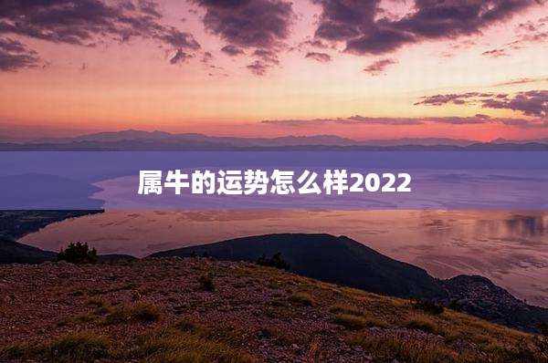 属牛的运势怎么样2022