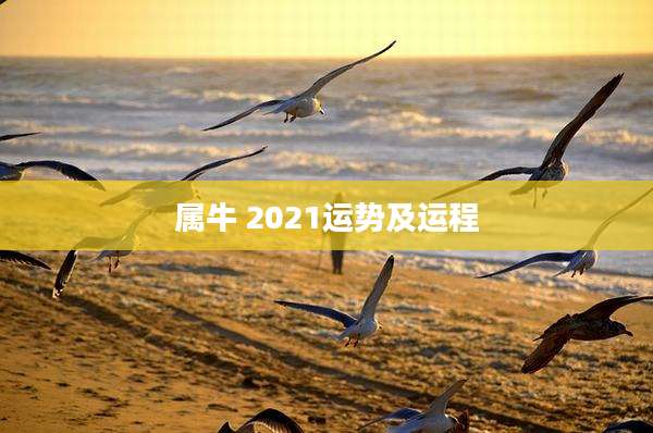 属牛 2021运势及运程