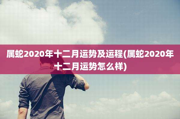 属蛇2020年十二月运势及运程(属蛇2020年十二月运势怎么样)