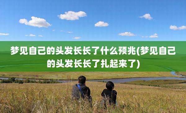 梦见自己的头发长长了什么预兆(梦见自己的头发长长了扎起来了)