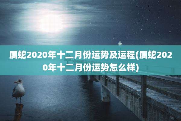 属蛇2020年十二月份运势及运程(属蛇2020年十二月份运势怎么样)
