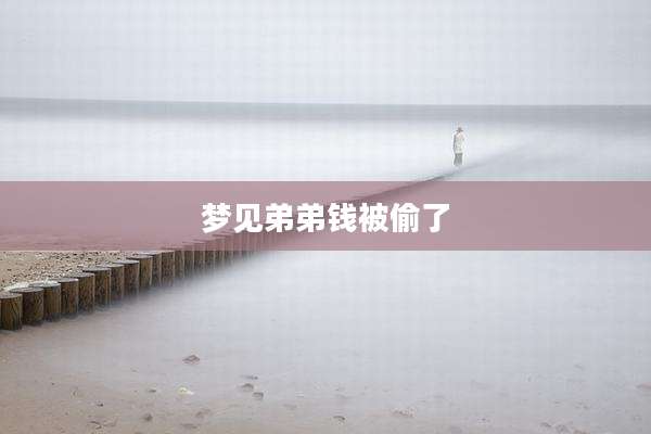 梦见弟弟钱被偷了