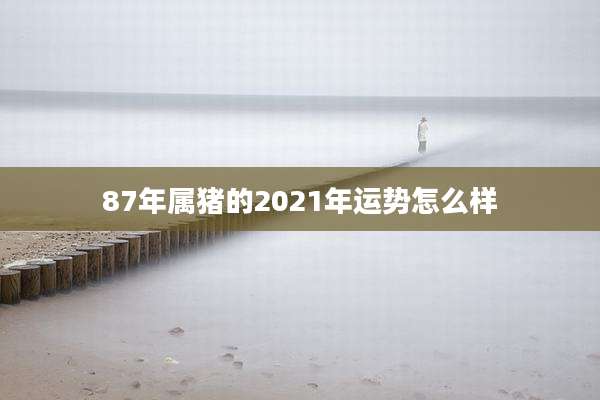87年属猪的2021年运势怎么样