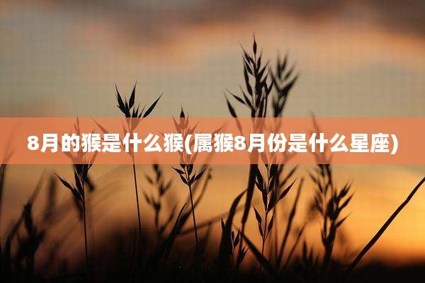 8月的猴是什么猴(属猴8月份是什么星座)