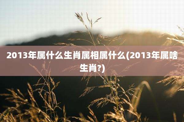 2013年属什么生肖属相属什么(2013年属啥生肖?)