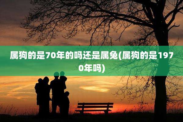 属狗的是70年的吗还是属兔(属狗的是1970年吗)