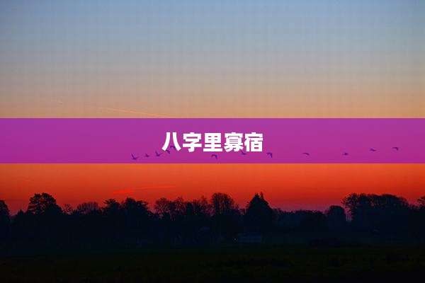 八字里寡宿