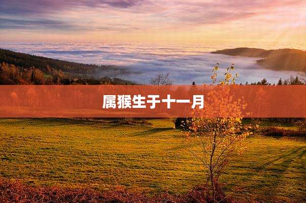 属猴生于十一月