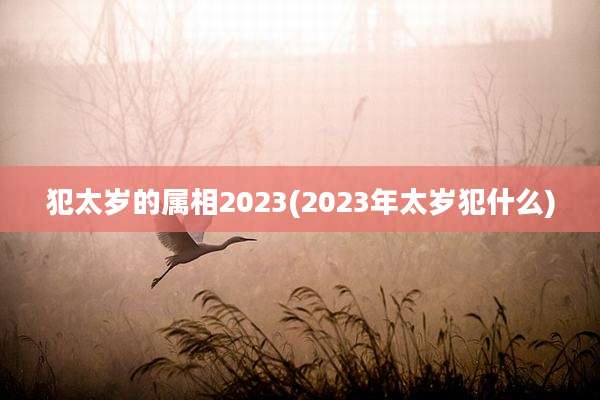 犯太岁的属相2023(2023年太岁犯什么)