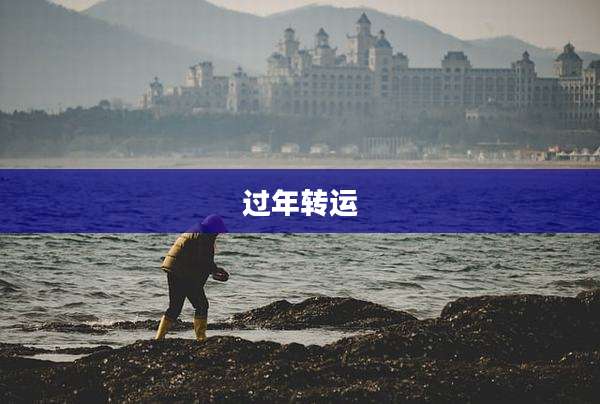 过年转运