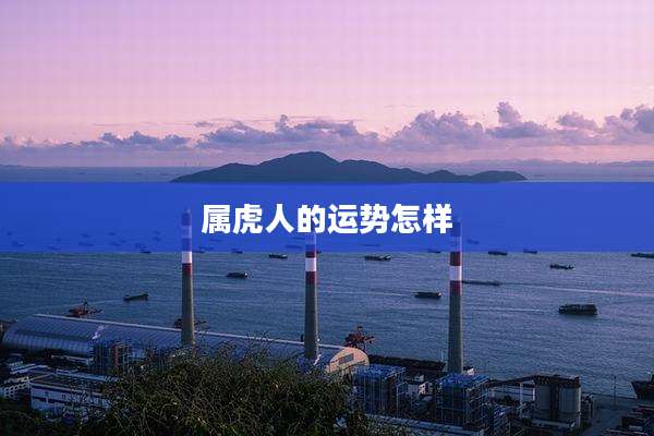 属虎人的运势怎样