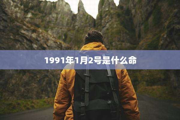 1991年1月2号是什么命