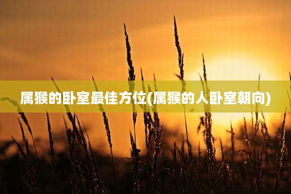 属猴的卧室最佳方位(属猴的人卧室朝向)