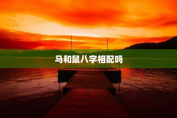 马和鼠八字相配吗