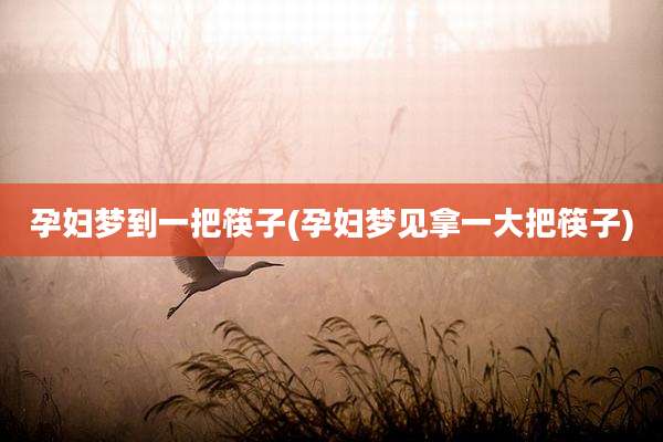 孕妇梦到一把筷子(孕妇梦见拿一大把筷子)