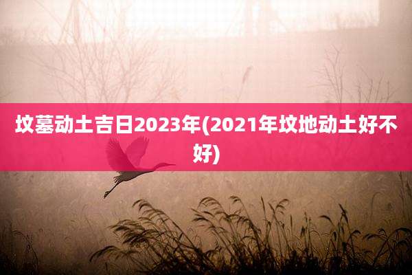 坟墓动土吉日2023年(2021年坟地动土好不好)