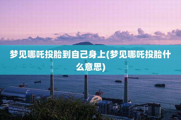 梦见哪吒投胎到自己身上(梦见哪吒投胎什么意思)