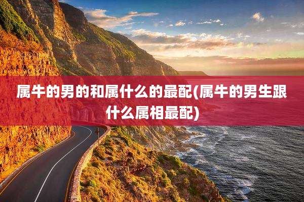 属牛的男的和属什么的最配(属牛的男生跟什么属相最配)