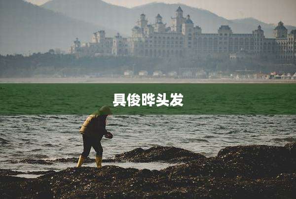 具俊晔头发