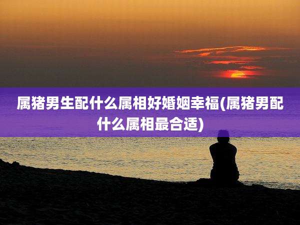 属猪男生配什么属相好婚姻幸福(属猪男配什么属相最合适)