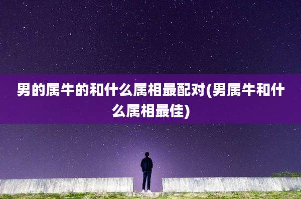 男的属牛的和什么属相最配对(男属牛和什么属相最佳)