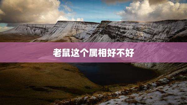 老鼠这个属相好不好