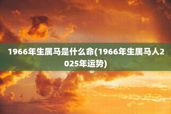 1966年生属马是什么命(1966年生属马人2025年运势)