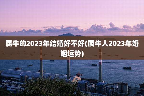 属牛的2023年结婚好不好(属牛人2023年婚姻运势)