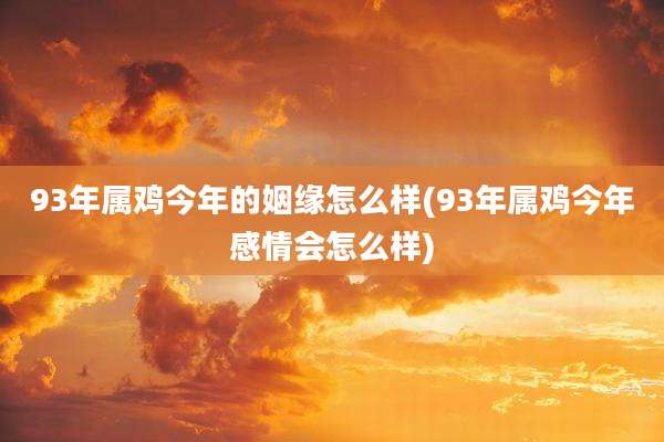 93年属鸡今年的姻缘怎么样(93年属鸡今年感情会怎么样)